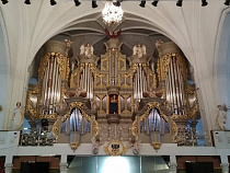 В Кафедральном соборе будут учить органному мастерству