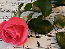 В Музее янтаря прозвучат «Орфей», «Кармен» и «Золушка»