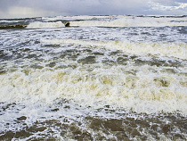 В ближайшие два дня на Куршскую косу лучше не ездить 