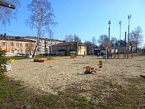 Калининградская область остолбенела от зверства над родившей собакой