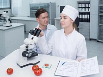 Ехавшие в Калининград помидоры из Турции и Марокко завирусились