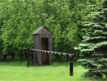 Правительство: в Калининградской области лесов в два раза больше, чем было у немцев