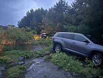 Стала известна подозреваемая в загадочном ДТП на Балтийской косе 