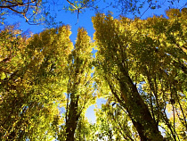 Директор интерната в Полесске наказала муниципалитет на 83 400 рублей