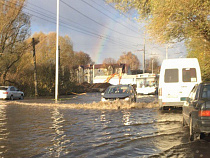Из затопленных дорог в Калининграде пачками вылавливают номера (фото, видео)
