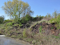 Фирма из Новосибирска ликвидирует золоотвал на Ялтинской за 80 млн рублей