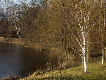 Ботанический сад БФУ им. И. Канта открывает весенний сезон