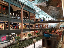 Названы самые дешёвые магазины в Польше. И это не «Бедронка» 