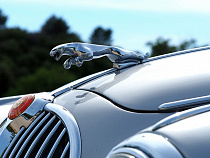 Jaguar разрабатывает концепт электрического спорткара F-Type