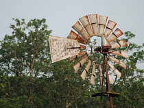 В Зеленоградске заинтересовались получением энергии из коровьего помёта