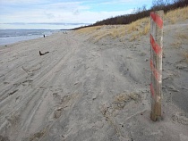 В Балтийске загорающих попросили освободить часть всех пляжей