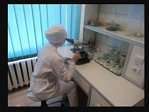 В Калининградскую область “залетело” мясо птицы с сальмонеллой