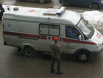 На Сельме “Рено” снёс пенсионерку с перехода