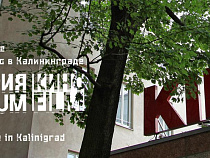 «Ворота» на 4 дня станут «Территорией кино».