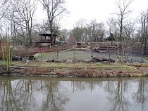 Для зоопарка в Калининграде срочно ищут подрядчика на 334 млн рублей