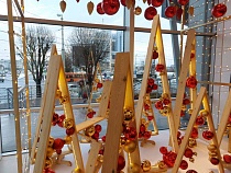 У половины опрошенных нет денег на празднование Нового года