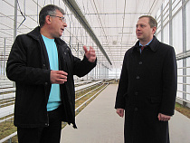  С 2015 года Калининград не будет зависеть от поставок рассады из-за рубежа