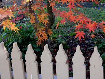 Калининградец обнаружил противотанковую гранату во время установки забора