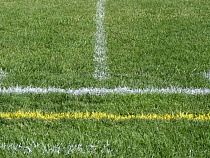 Никто не захотел делать основание поля «Багратион – Арена» в Багратионовске