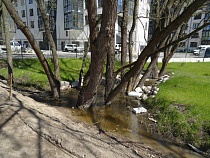 Властям Зеленоградска предписали устранить сбросы сточных вод