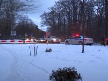 Назван способ уменьшения пробок на Куршскую косу