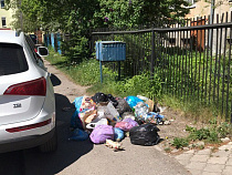 Калининградцы жалуются на мусор и смрад в историческом районе города