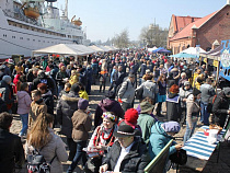 Сотни человек пришли на День селёдки в Калининграде (фото)