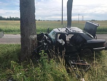 Под Озёрском врезалась в дерево 28-летняя водитель «Мерседеса»