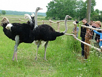 Николай Цуканов разнес Минтуризма региона в пух и прах