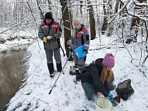 «Зелёный фронт» попросил Чайку приостановить куриную переработку в Калининграде