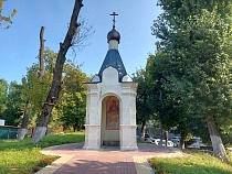 У Храма Христа Спасителя на площади Победы спилят сухие деревья