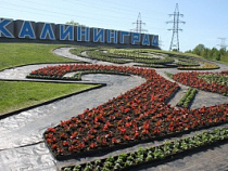  На въезде в Калининград появилась клумба с символикой ЧМ-2018