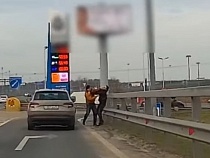 На Приморском кольце 23 февраля подрались водитель и пассажир