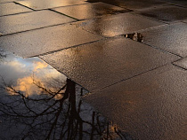 Суд дал администрации Нестерова 10 месяцев на приведение одного тротуара к ГОСТу