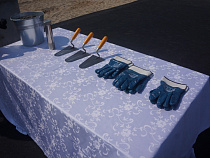 Рольбинов отчитался о подготовке к ЧМ-2018 перед депутатами облдумы