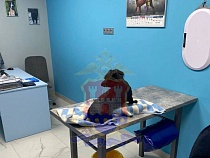 Лишившего глаза собаку будут судить в Калининграде