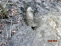 Во Взморье нашли 100-килограммовую фугасную бомбу