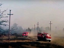 «От штрафа до срока»: в Калининграде пригрозили травяным пироманам 