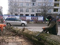 В Калининграде штормовой ветер помогает отапливать бани