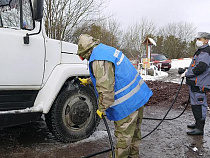 Больной кабан занёс в Славский район АЧС 