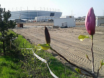 Октябрьский остров в Калининграде спланируют по аналогии Владивостока