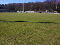 В правительстве Калининградской области заинтересовались самочувствием травы 