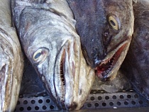 Приостановлена работа рыбного магазина в жилом доме