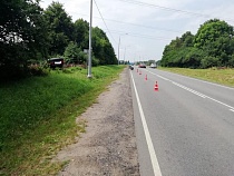 Под Нестеровом машина перевернулась из-за смартфона