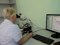 В Калининградской области среди проблем оказания онкопомощи остается нехватка кадров