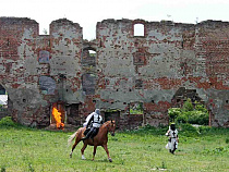 Поляки создали приложение о развалинах замков в Калининградской области