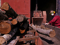 В Калининградской области на 500 га остатки деревьев перемалывают с корнями 