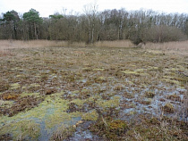 Власти: в зоне затопления находится 80 тысяч человек