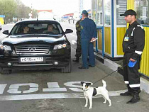 Калининградец пытался провезти через границу 12 кг польской молочки