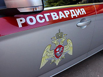 В Светлом буян бил камнями стёкла в домах